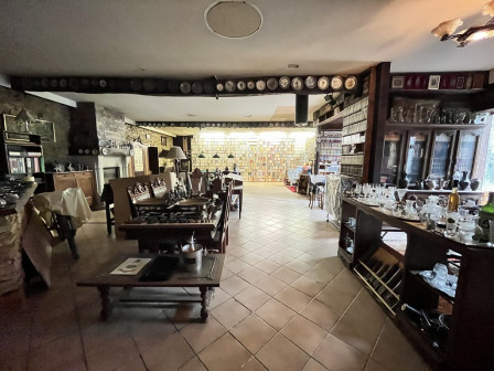 Vente maison 5 pièces 280m2 Cremieu-38Z03100VP001873-692-10