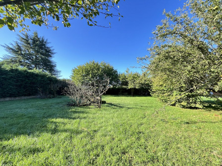 Vente terrain 503m2 St romain de jalionas-38Z03100VT001881-692-01
