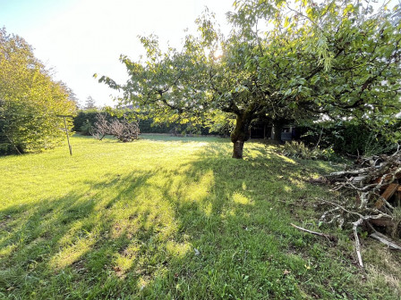 Vente terrain 503m2 St romain de jalionas-38Z03100VT001881-692-03